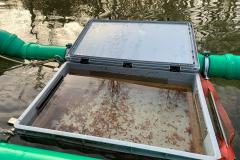 Seeforellen am Chiemsee