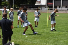 Raub-Neuroathletik-Lichtreaktion-ru863