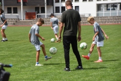 Raub-Neuroathletik-jonglieren-ru877