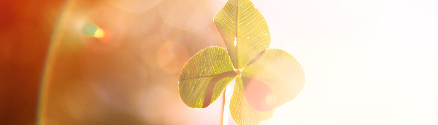 Sparkassenstiftungen Zukunft